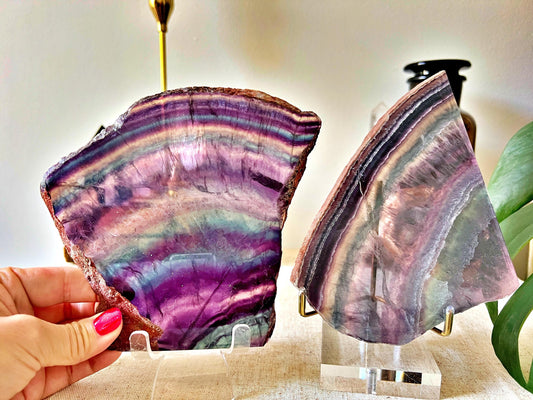 Tranches de Fluorite Multicolore - Cabinet de Curiosité - Haute Qualité