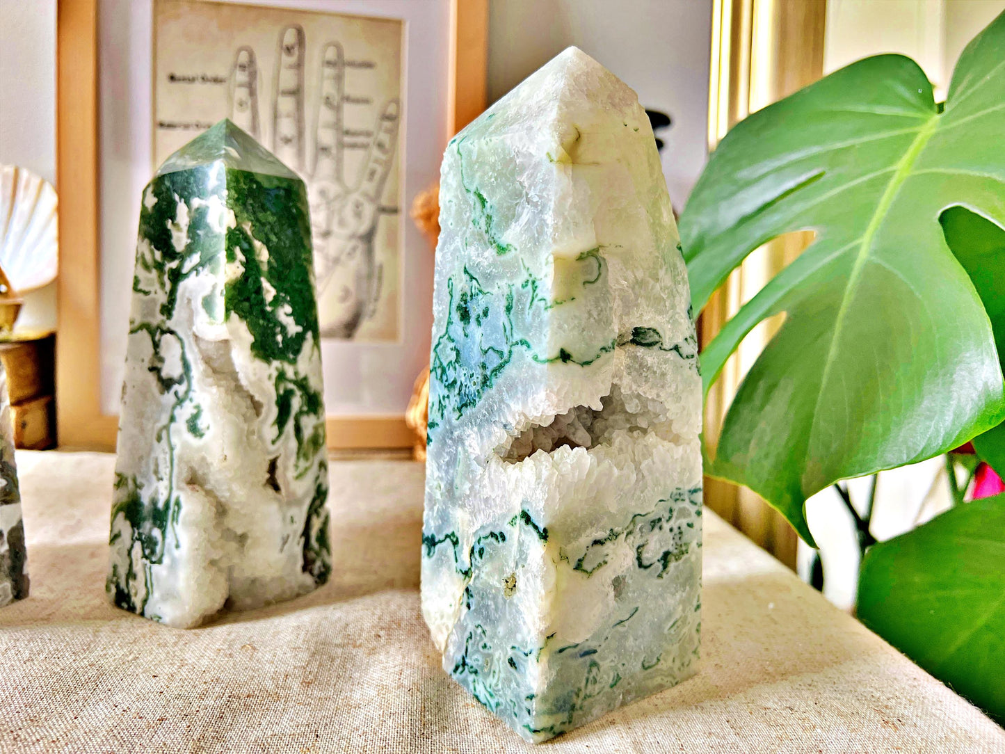 Grandes pointes d’Agate Mousse