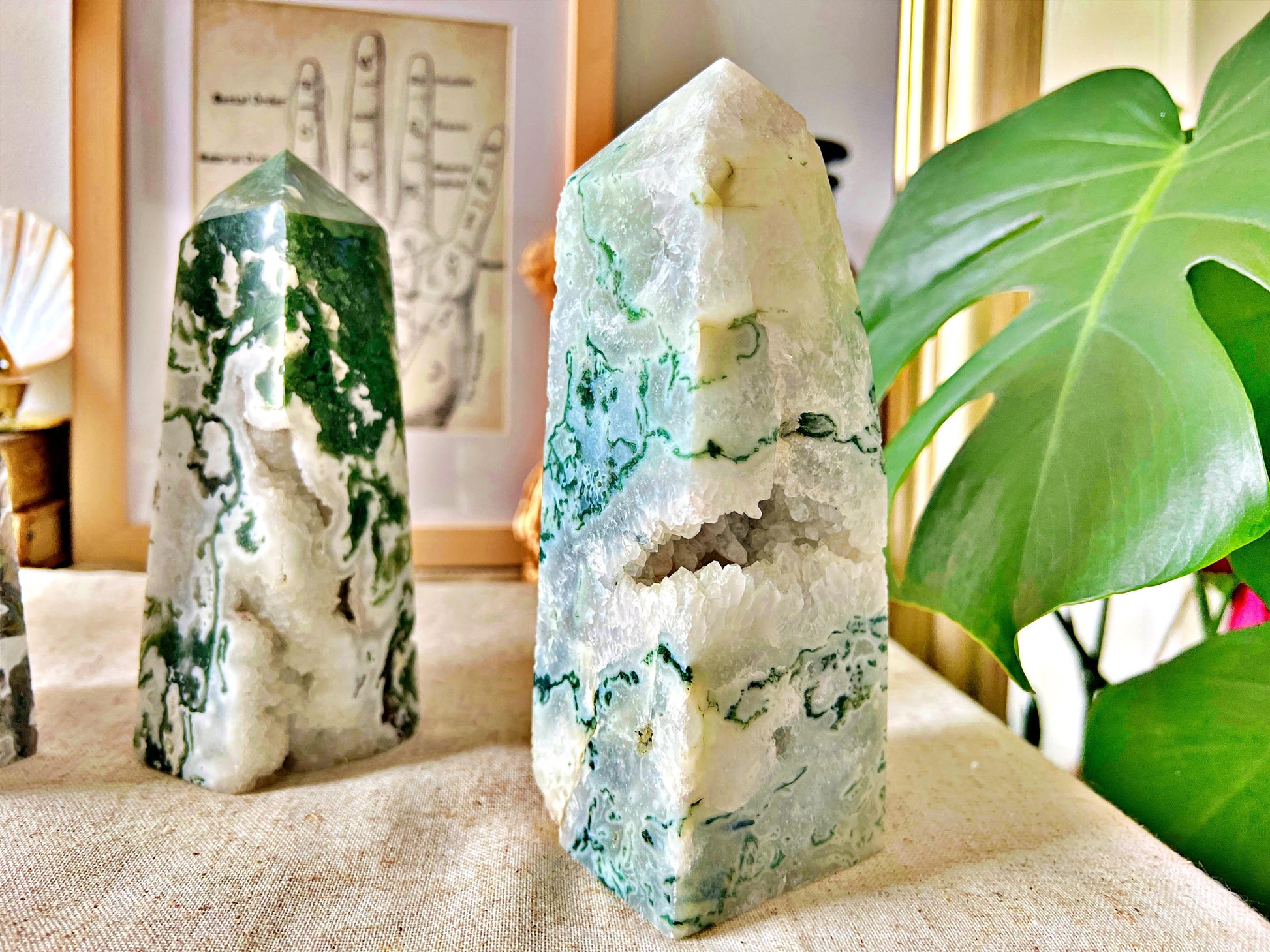 Grandes pointes d’Agate Mousse