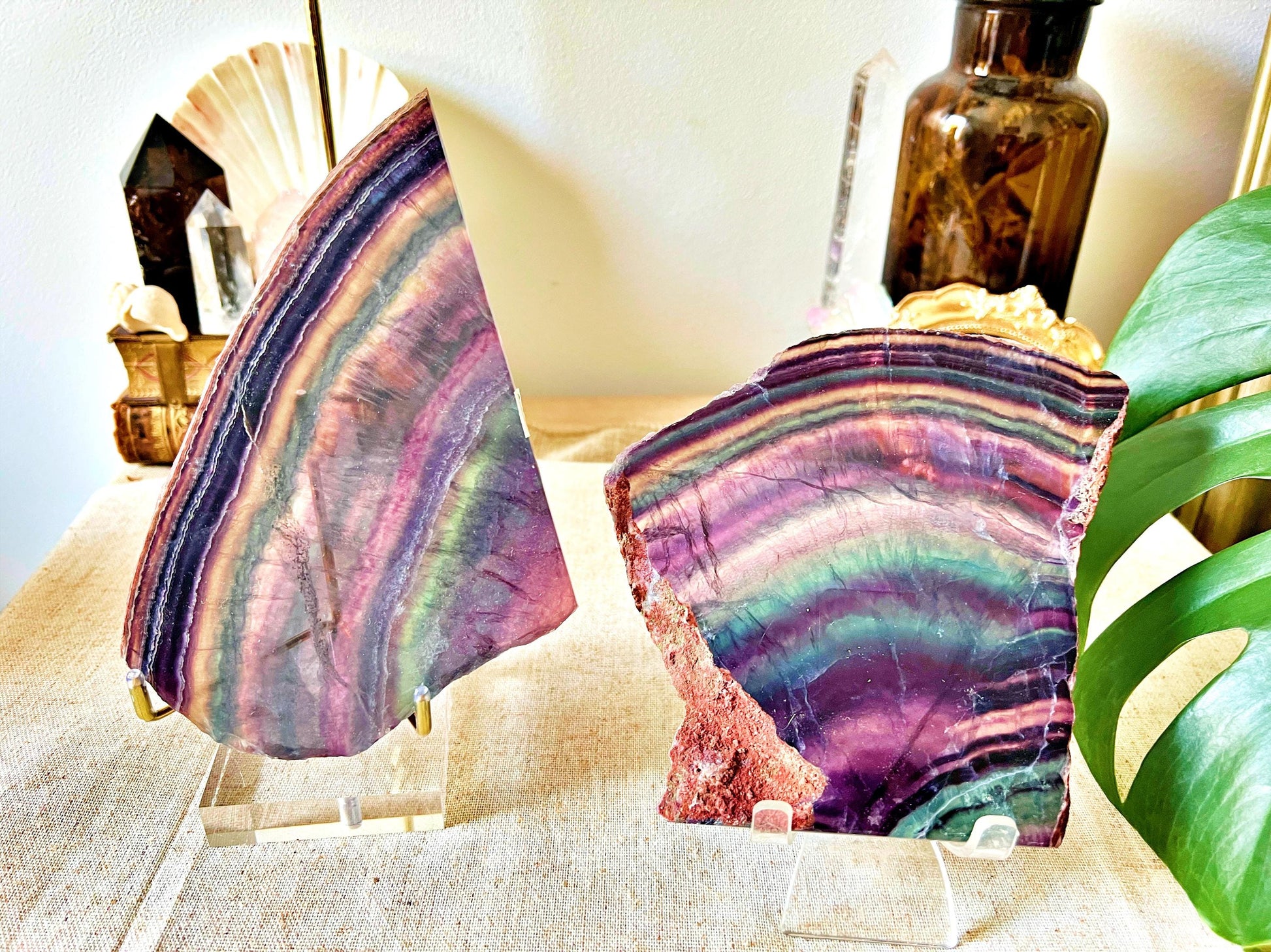 Tranches de Fluorite Multicolore - Cabinet de Curiosité - Haute Qualité