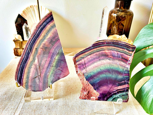 Tranches de Fluorite Multicolore - Cabinet de Curiosité - Haute Qualité