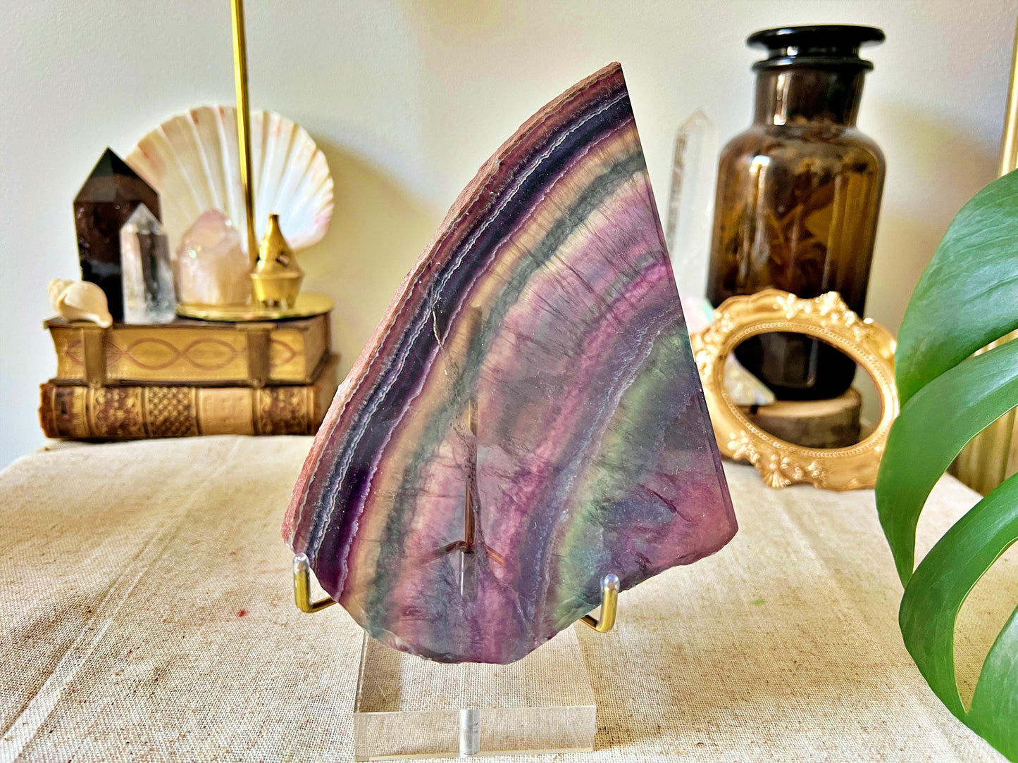 Tranches de Fluorite Multicolore - Cabinet de Curiosité - Haute Qualité