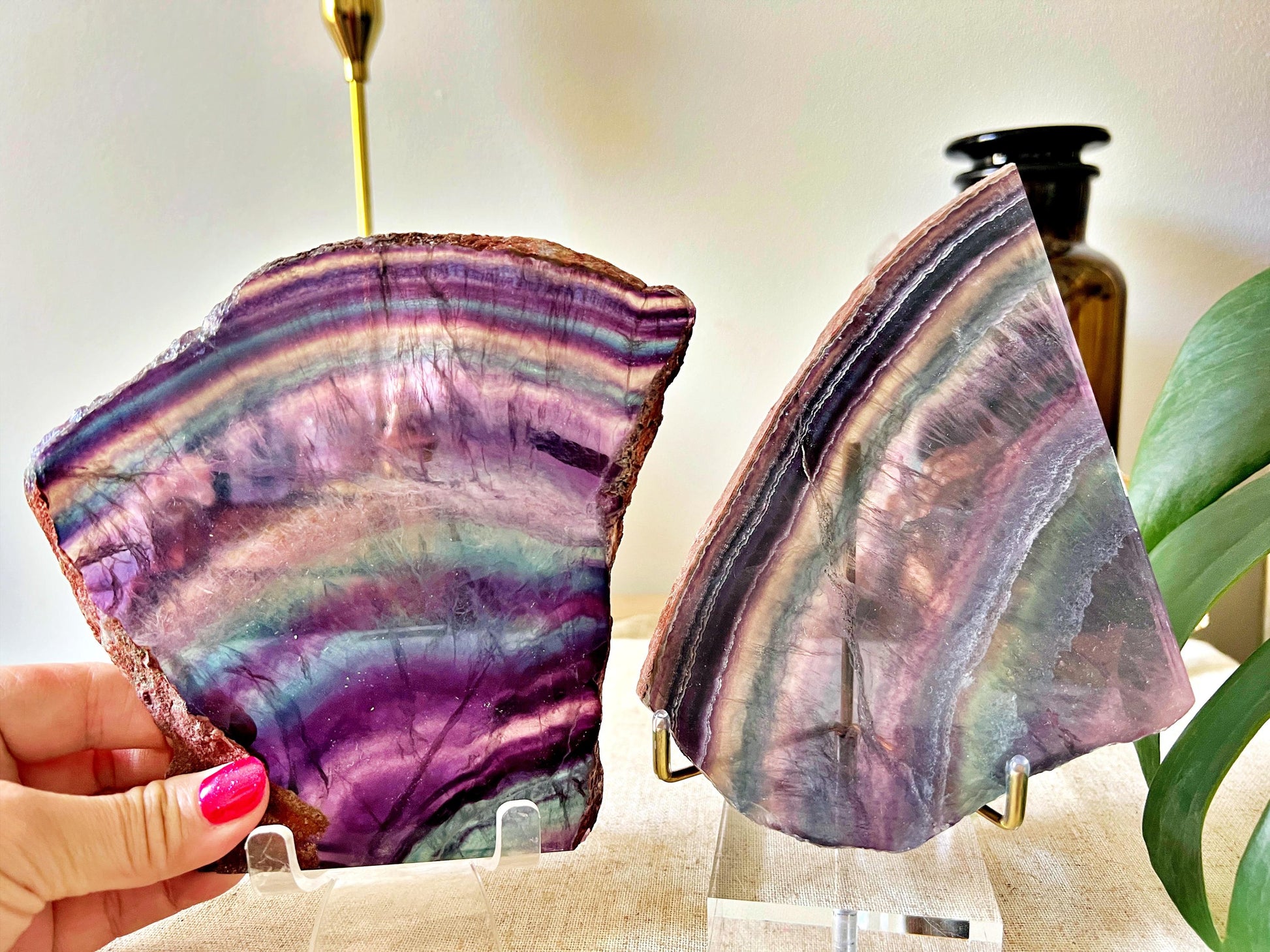Tranches de Fluorite Multicolore - Cabinet de Curiosité - Haute Qualité