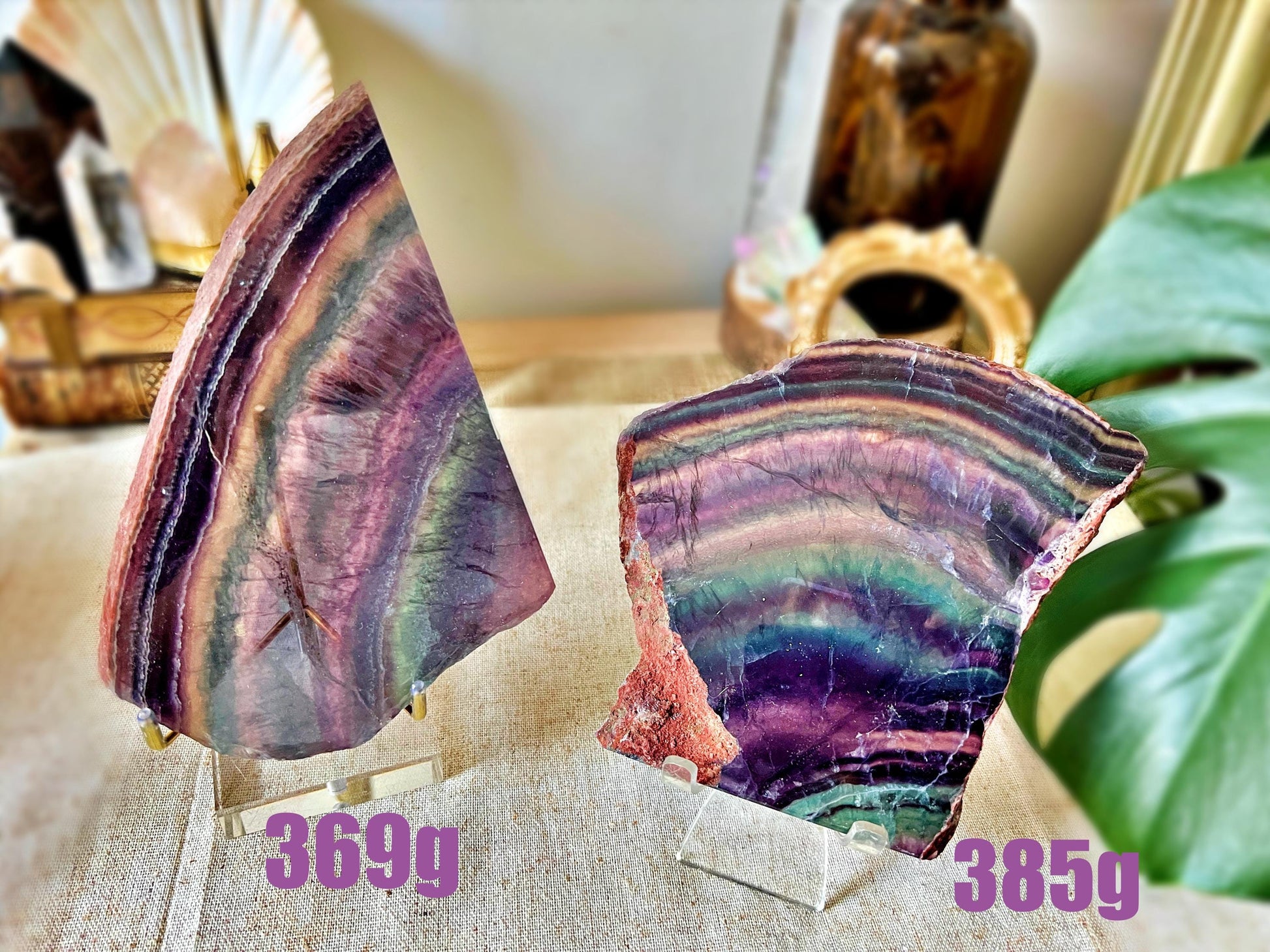 Tranches de Fluorite Multicolore - Cabinet de Curiosité - Haute Qualité