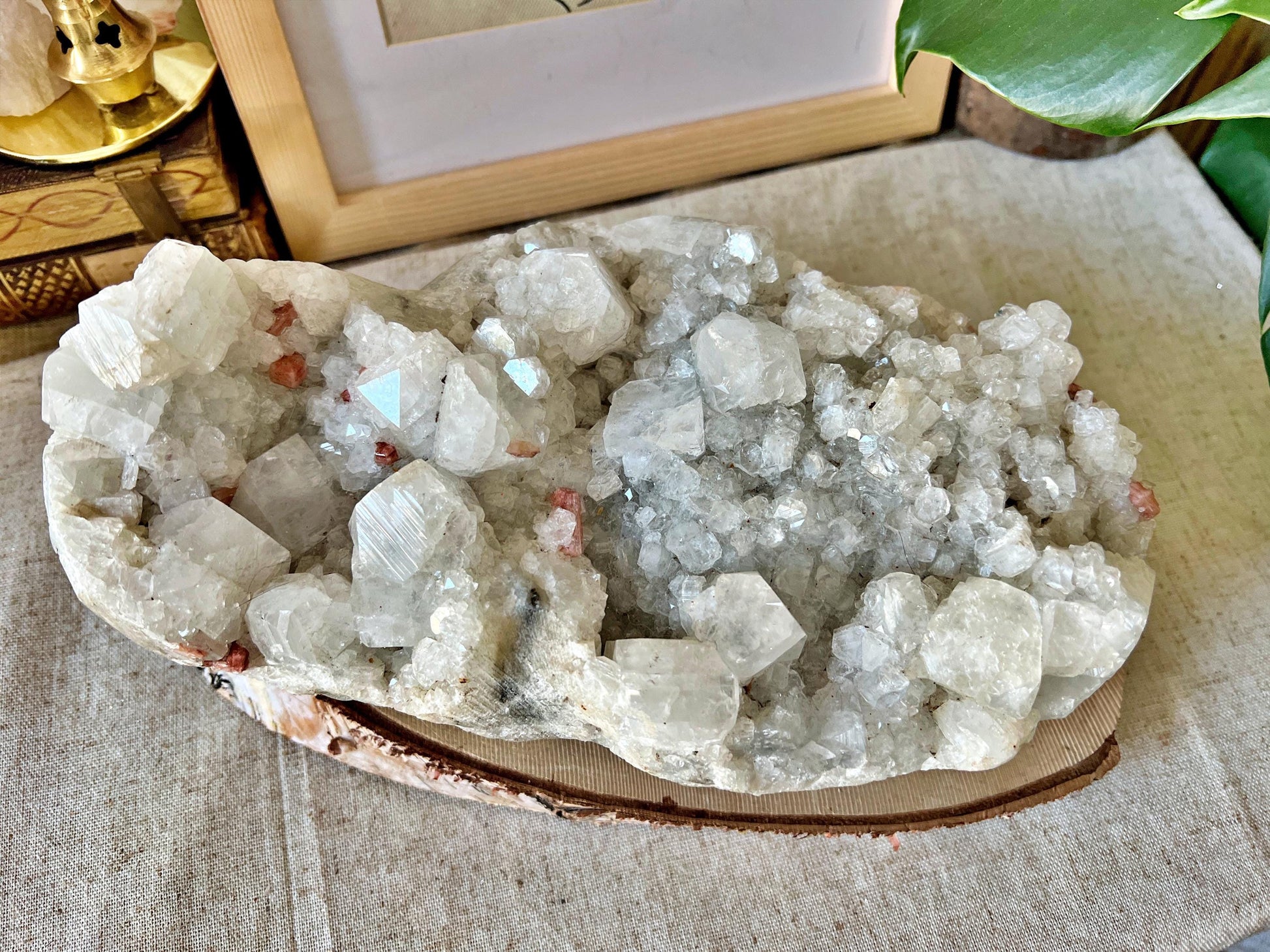 Grande pièce d’Apophyllite blanche avec inclusions de Stilbite orangée